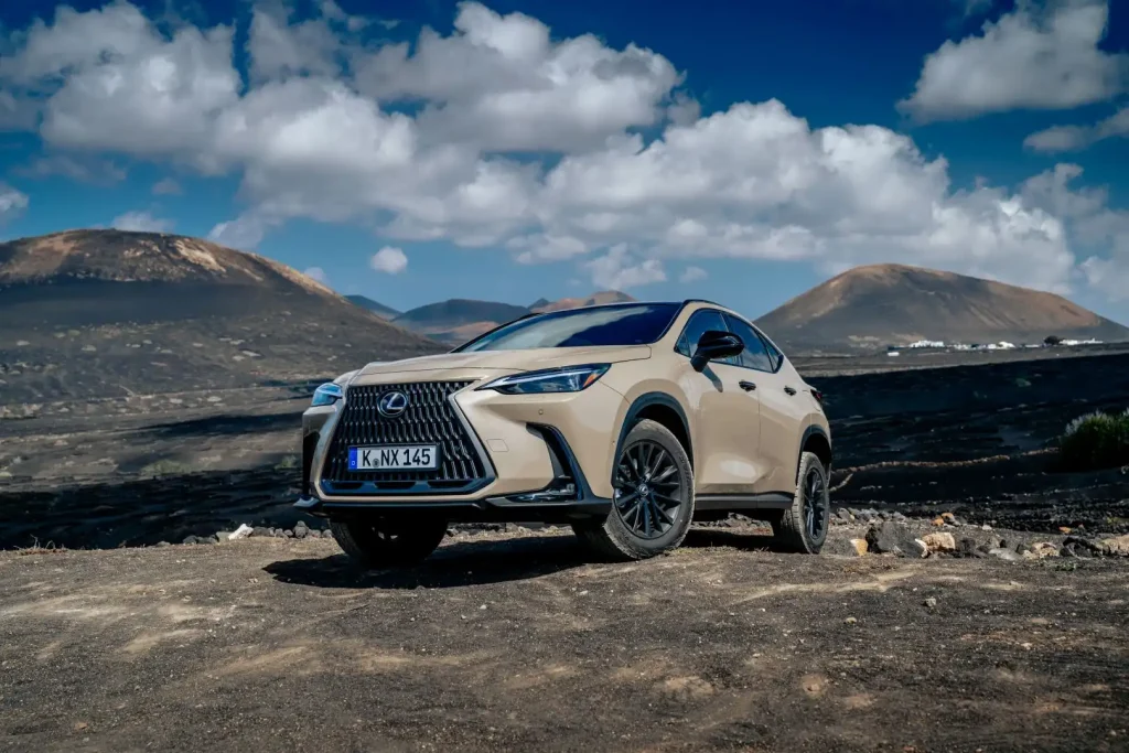 2025-Lexus-NX-12