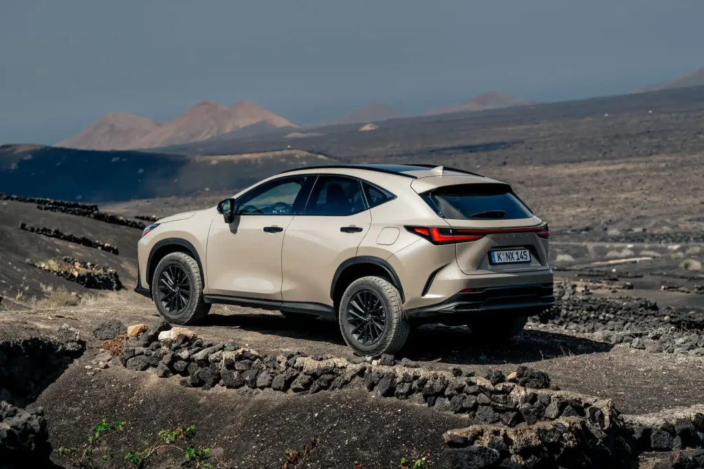 2025-Lexus-NX-13