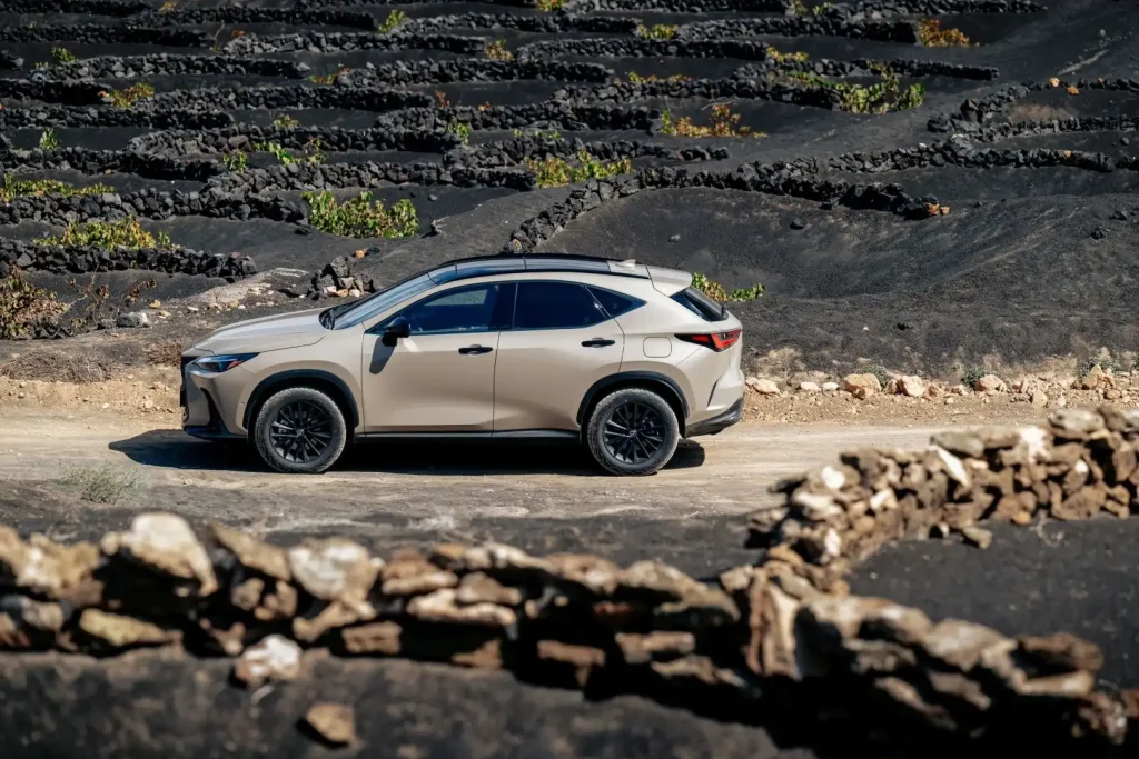 2025-Lexus-NX-15