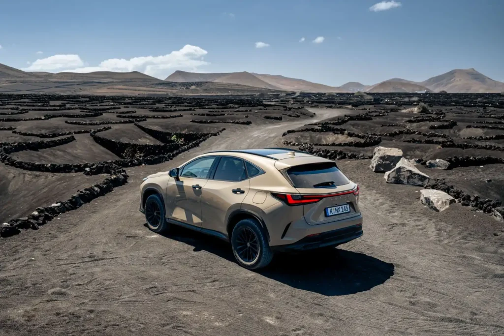 2025-Lexus-NX-16
