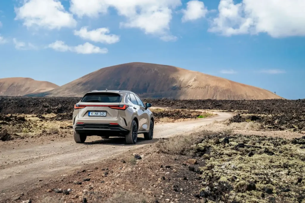 2025-Lexus-NX-17
