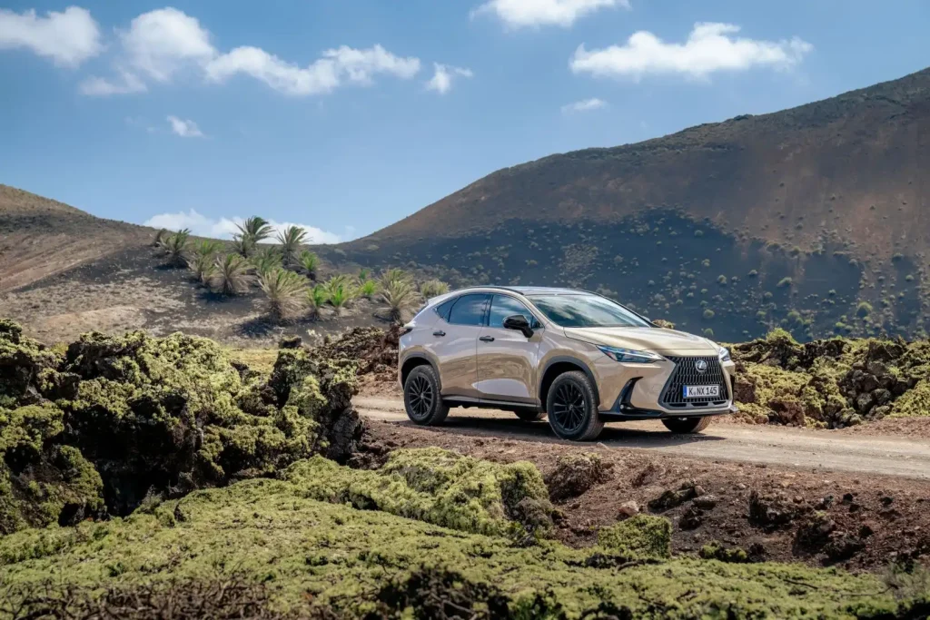 2025-Lexus-NX-18