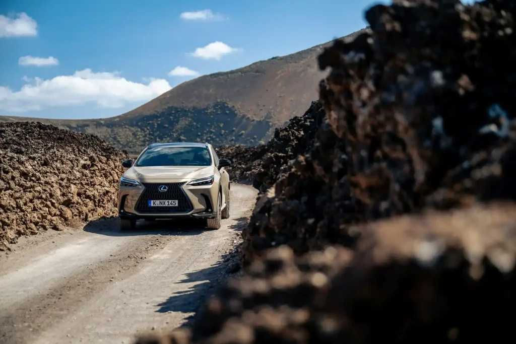 2025-Lexus-NX-19