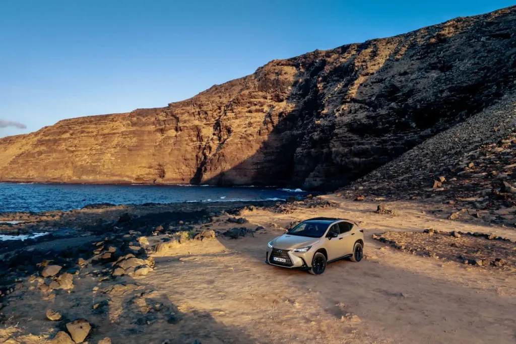 2025-Lexus-NX-24