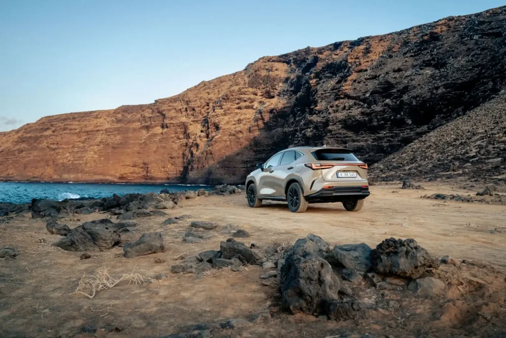 2025-Lexus-NX-25