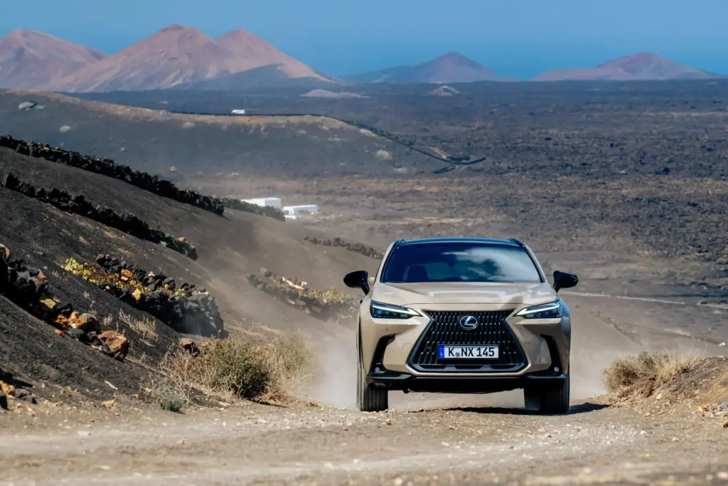 2025-Lexus-NX-46