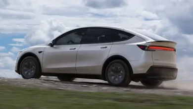 Elon-Musk-Tesla-Model-Y-100