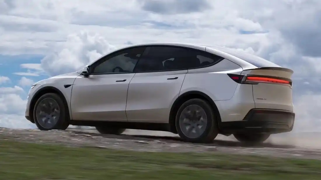 Elon-Musk-Tesla-Model-Y-100